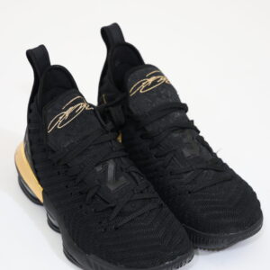 נעלי כדורסל נייק – Nike Lebron 16 XVI I Am King